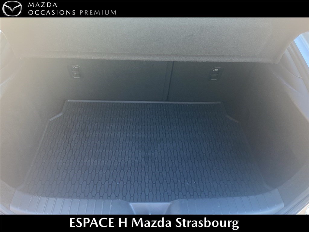 mazda - Visuel 4