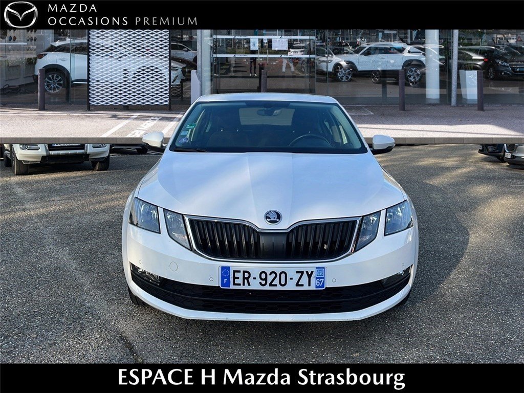 skoda - Visuel 1