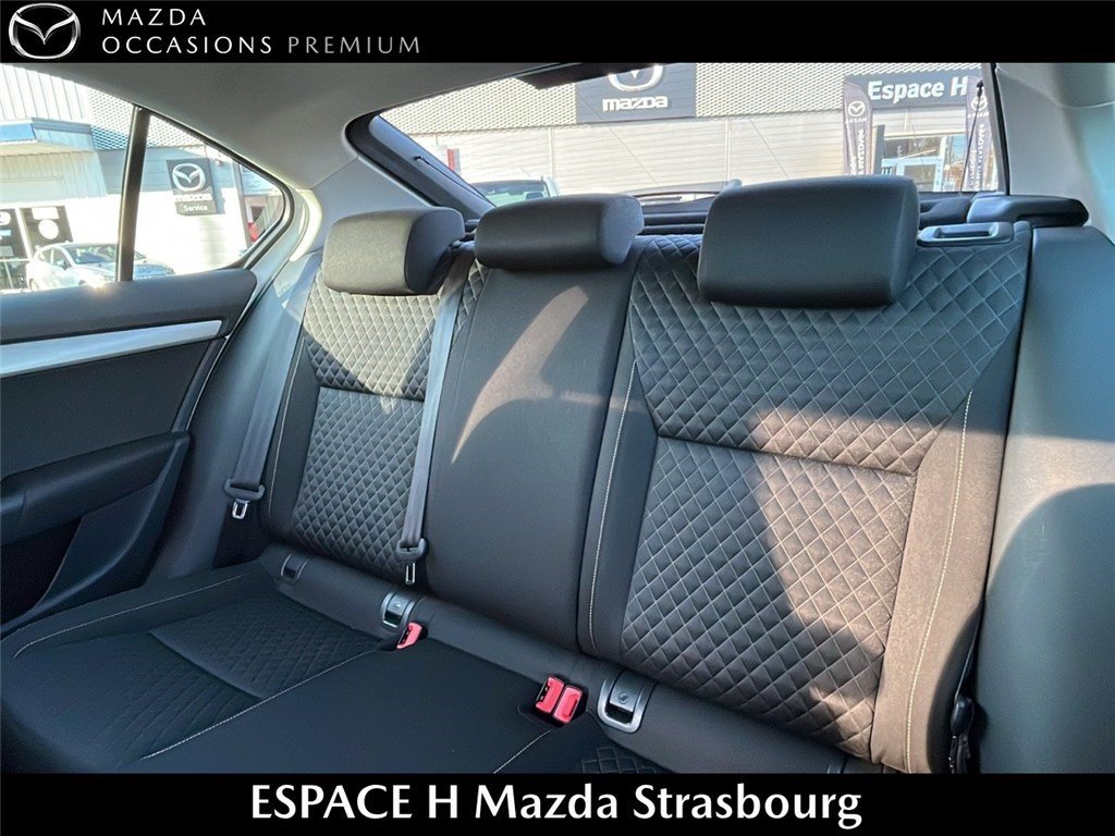 skoda - Visuel 8