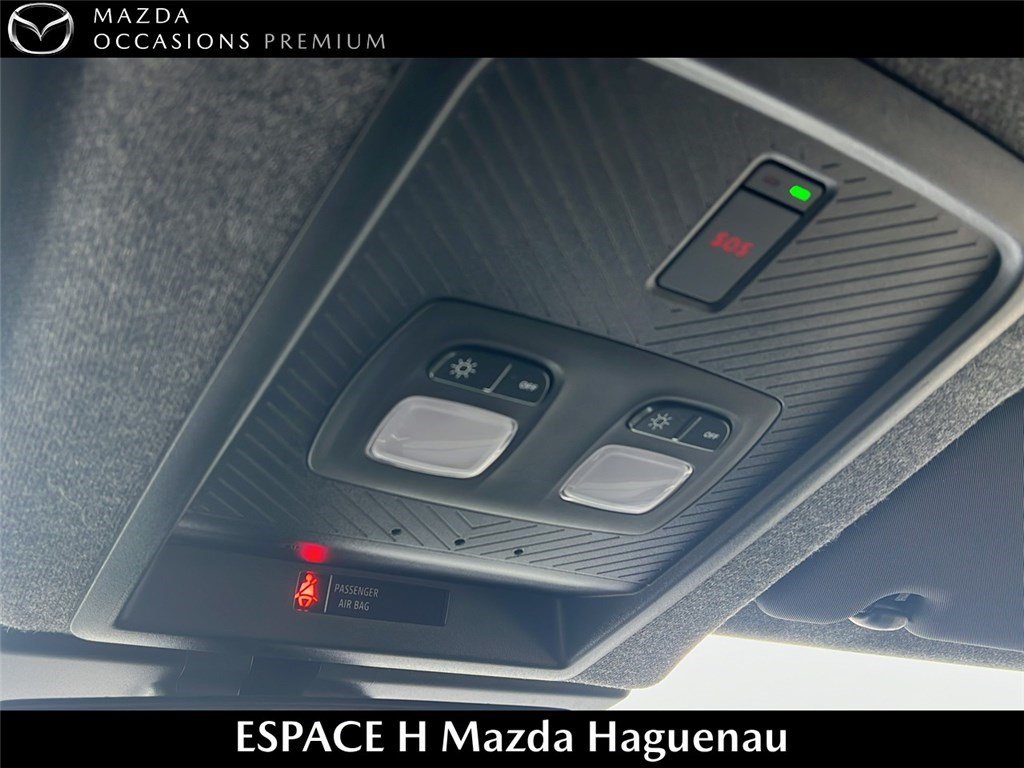 dacia - Visuel 18